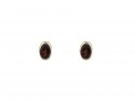 Gold earrings and garnet