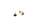 Gold earrings and garnet