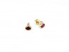 Gold earrings and garnet