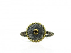 Silver and gold ring with shiny black.