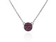 Collar d'argent i robins