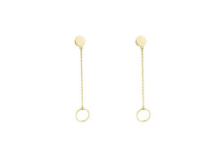 Evolution earring 
