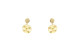 Evolution earring 