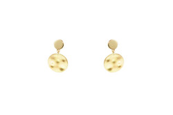 Evolution earring 