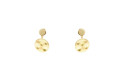 Evoluction earring