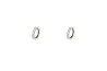 Evoluction earring