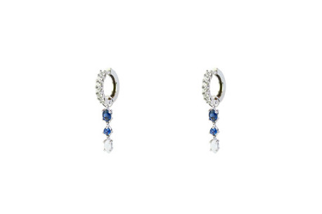 Evolution earring 