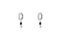 Evoluction earring