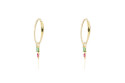 Evoluction earring