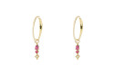 Evoluction earring