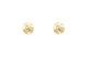 Pendientes Evolucion
