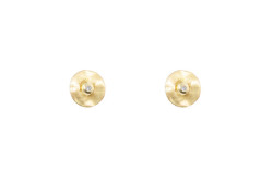 Evoluction earring