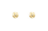 Evoluction earring