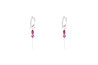 Evoluction earring