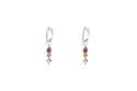 Evoluction earring