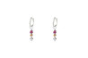 Evoluction earring