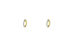Evolution earring 