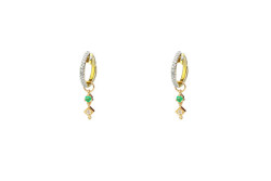 Evolution earring 
