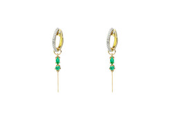 Evolution earring 