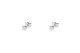 Evolution earring 