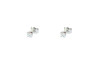 Evoluction earring