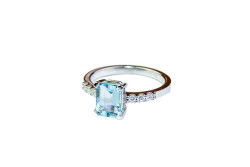 Evolution ring