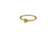 Anillo Evolución