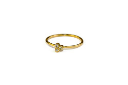 Evolution ring