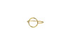 Evolution ring