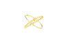 Two-ring gold ring
