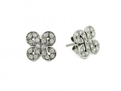 Earrings and bright white gold