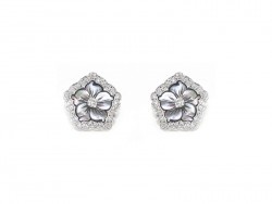 Earrings Flors
