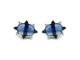 Gold earrings with cianitas, bright whites and blacks.