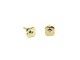 Earrings Communions